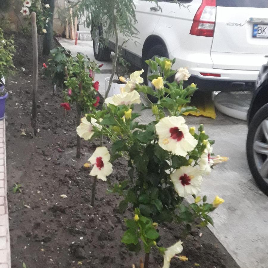 Juriki Apartament Vlorë Eksteriør billede