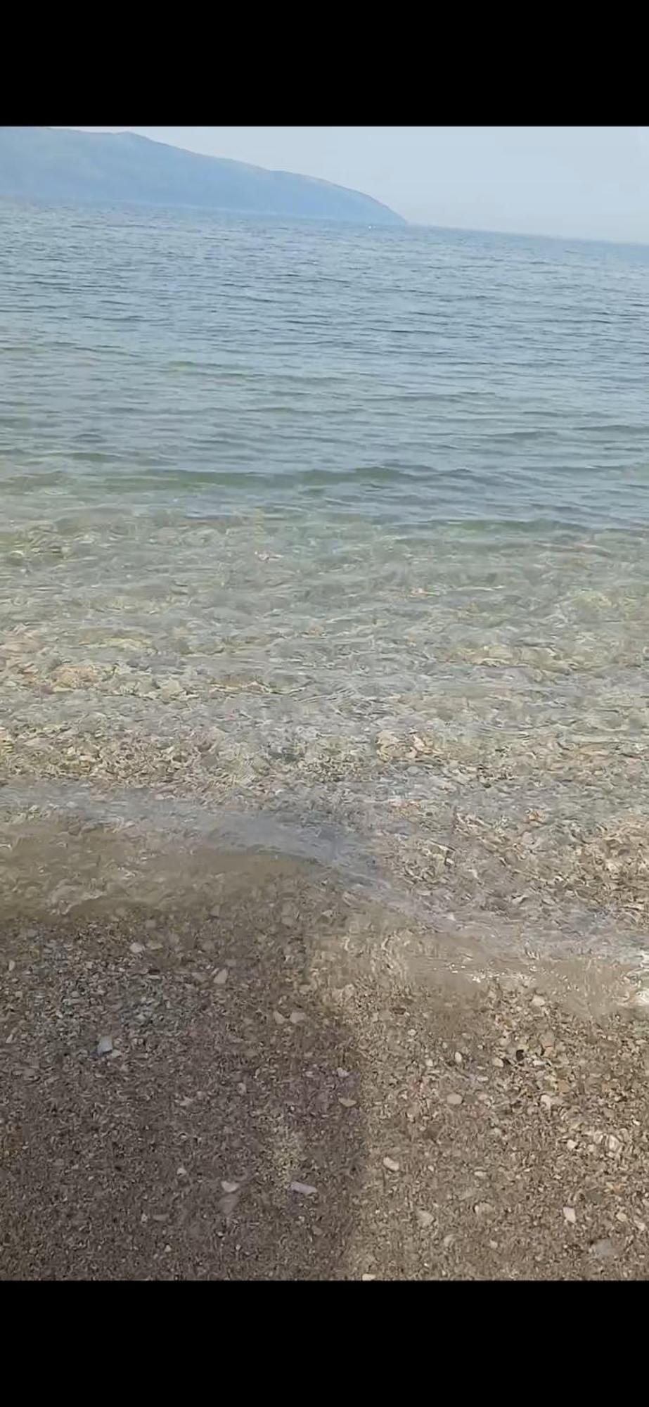 Juriki Apartament Vlorë Eksteriør billede